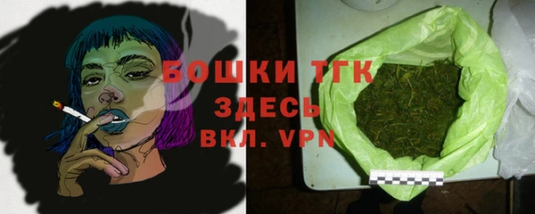ГАЛЛЮЦИНОГЕННЫЕ ГРИБЫ Горняк