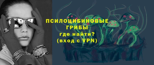 хмурый Щучье