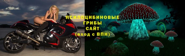 ГАЛЛЮЦИНОГЕННЫЕ ГРИБЫ Горняк