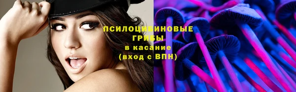 ГАЛЛЮЦИНОГЕННЫЕ ГРИБЫ Горняк