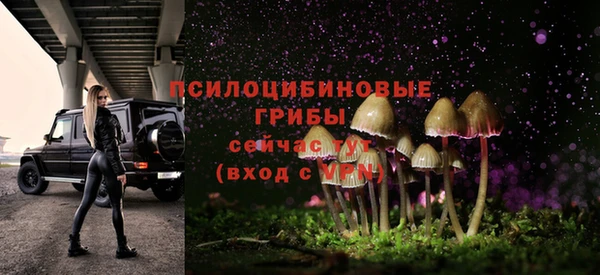 a pvp Горнозаводск