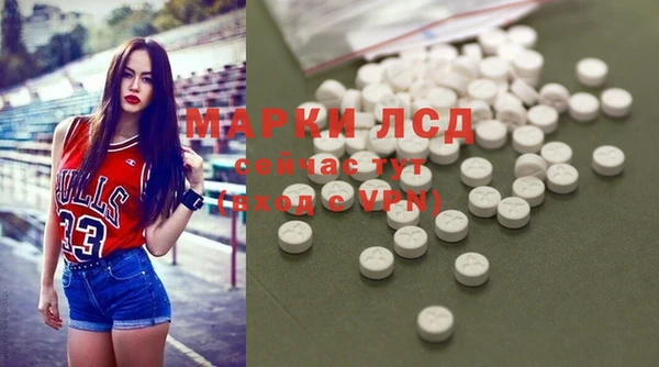 ГАЛЛЮЦИНОГЕННЫЕ ГРИБЫ Горняк