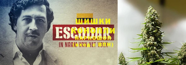 ГАЛЛЮЦИНОГЕННЫЕ ГРИБЫ Горняк